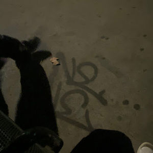 Meet your Posher, Antonio